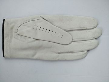 골프 장갑 골프 장갑 협력 업체